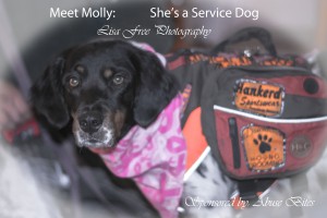 Service Dog Molly