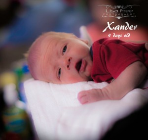 Love to take newborn photographs. This is Xander at only 4 days old. How precious. They grow so fast, book your newborn or baby photo shoot today. CD/DVD and affordable print packages available.